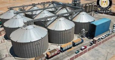 مجلس الوزراء: منظومة توريد القمح تواصل العمل بانتظام وسط إقبال المزارعين