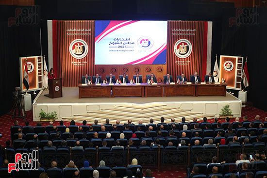 التصويت فى جولة الإعادة بانتخابات مجلس الشيوخ بالخارج 25 و26 أغسطس