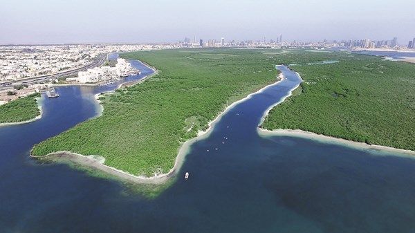 «البيئة - أبوظبي» أول جهة تنظيمية تحصل على شهادة الحياد الكربوني مرتين