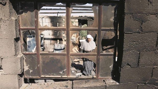 مستوطنون يحرقون مئات الدونمات ويقتلعون أشجاراً في الضفة