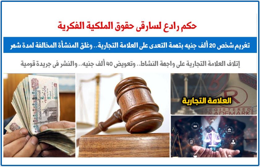 حكم رادع لسارقى حقوق الملكية الفكرية والتعدى على العلامات التجارية.. برلماني