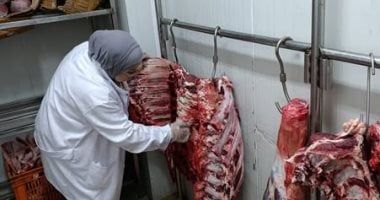 "الزراعة": ضبط 122 طنًا من اللحوم الفاسدة وتحرير 1553 محضرًا خلال يونيو