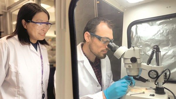 فريق بحثي في «نيويورك أبوظبي» يحدد علاقة بين نمو الدماغ والاضطرابات العقلية