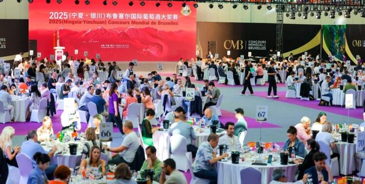 ميدالية ذهبية لـ"شاتو كفريا" ضمن "مسابقة بروكسل الدولية للنبيذ" في الصين