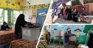 اللجان الانتخابية بالمحافظات تتلقى أوراق الترشح لانتخابات الشيوخ من السبت