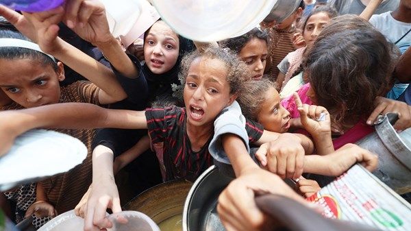 170 منظمة تدعو لوقف نظام توزيع «المساعدات القاتل» في غزة