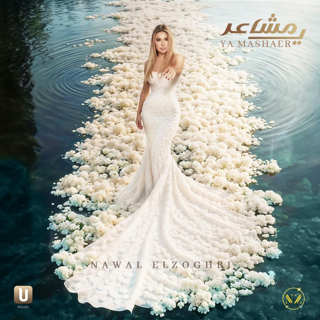 بعد "ماضي وفات" و"أجي بالدلع".. نوال الزغبي تستعد لمفاجآت جديدة للمصريين