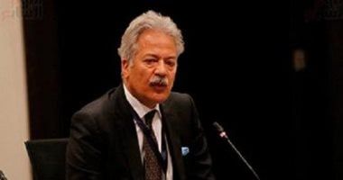 عصام شيحة: تقسيم دوائر خطوة إيجابية لترسيخ قاعدة تشريعية أكثر عدالة