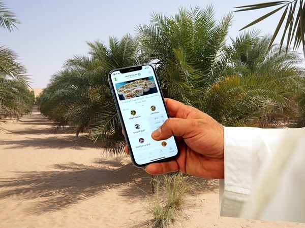 "ليوا للرطب" يتيح تطبيقه الذكي للراغبين في المشاركة