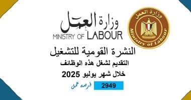 2949 فرصة عمل جديدة فى 44 شركة خاصة فى 10 محافظات.. تفاصيل