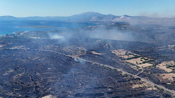 تركيا.. إخلاء قرى في ولاية إزمير بسبب حرائق الغابات