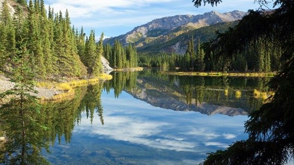 ترامب يرفع رسوم دخول المتنزهات