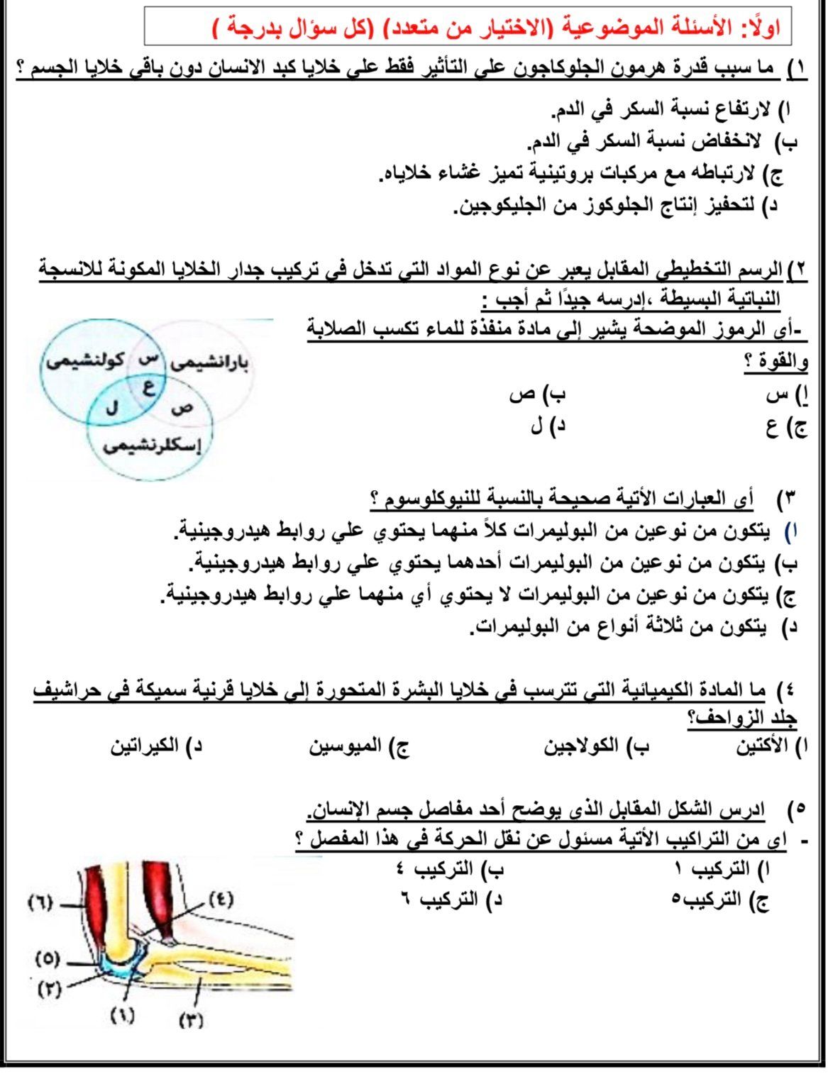 أقوى أسئلة مادة الأحياء لطلاب الثانوية العامة 2025 استعدادًا للامتحان