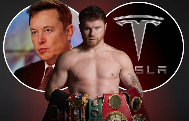 ملاكم عالمي رفض 10 ملايين دولار من إيلون ماسك والسبب!