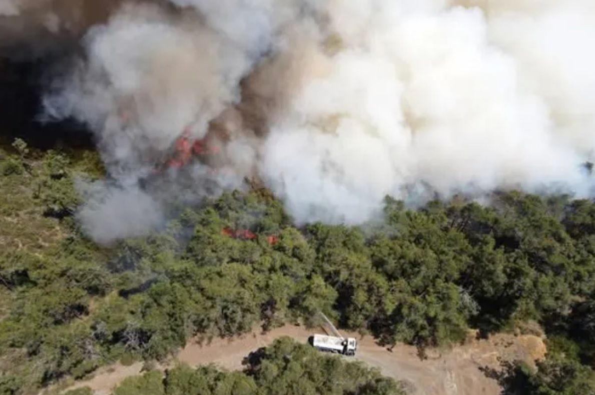 اندلاع حرائق واسعة فى غابات الساحل السورى.. صور