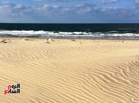 شاطئ العريش ينطق بالجمال ويُلهم العيون ويُحيي الذاكرة.. صور