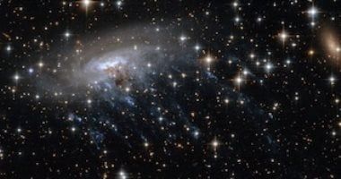 تكنولوجيا: تلسكوب ويب يرصد مجرة ​​قنديل البحر المحتملة على بعد 12 مليار سنة ضوئية