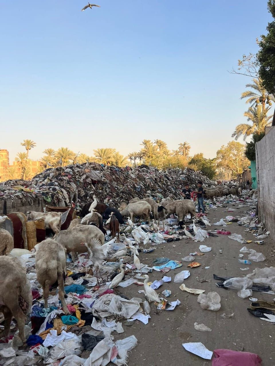 تلال القمامة تحاصر مقابر مدينة الحوامدية.. والأهالى يناشدون المسؤولين بالتدخل.. صور