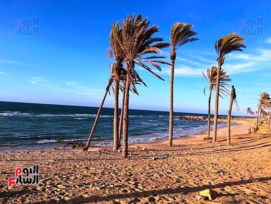 شاطئ العريش ينطق بالجمال ويُلهم العيون ويُحيي الذاكرة.. صور