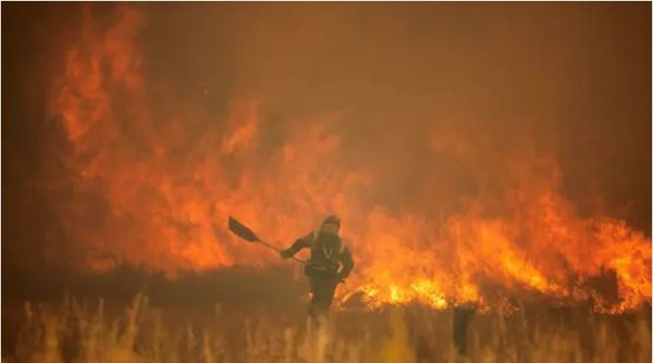 إخلاء بلدة أخرى بسبب الحرائق في ألمانيا