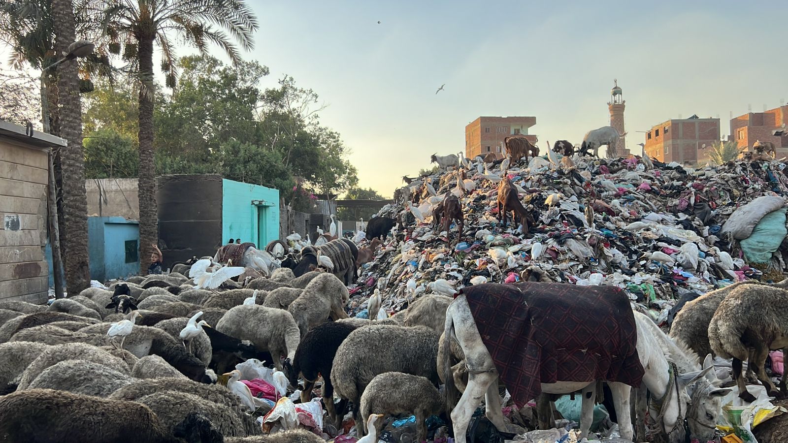 تلال القمامة تحاصر مقابر مدينة الحوامدية.. والأهالى يناشدون المسؤولين بالتدخل.. صور