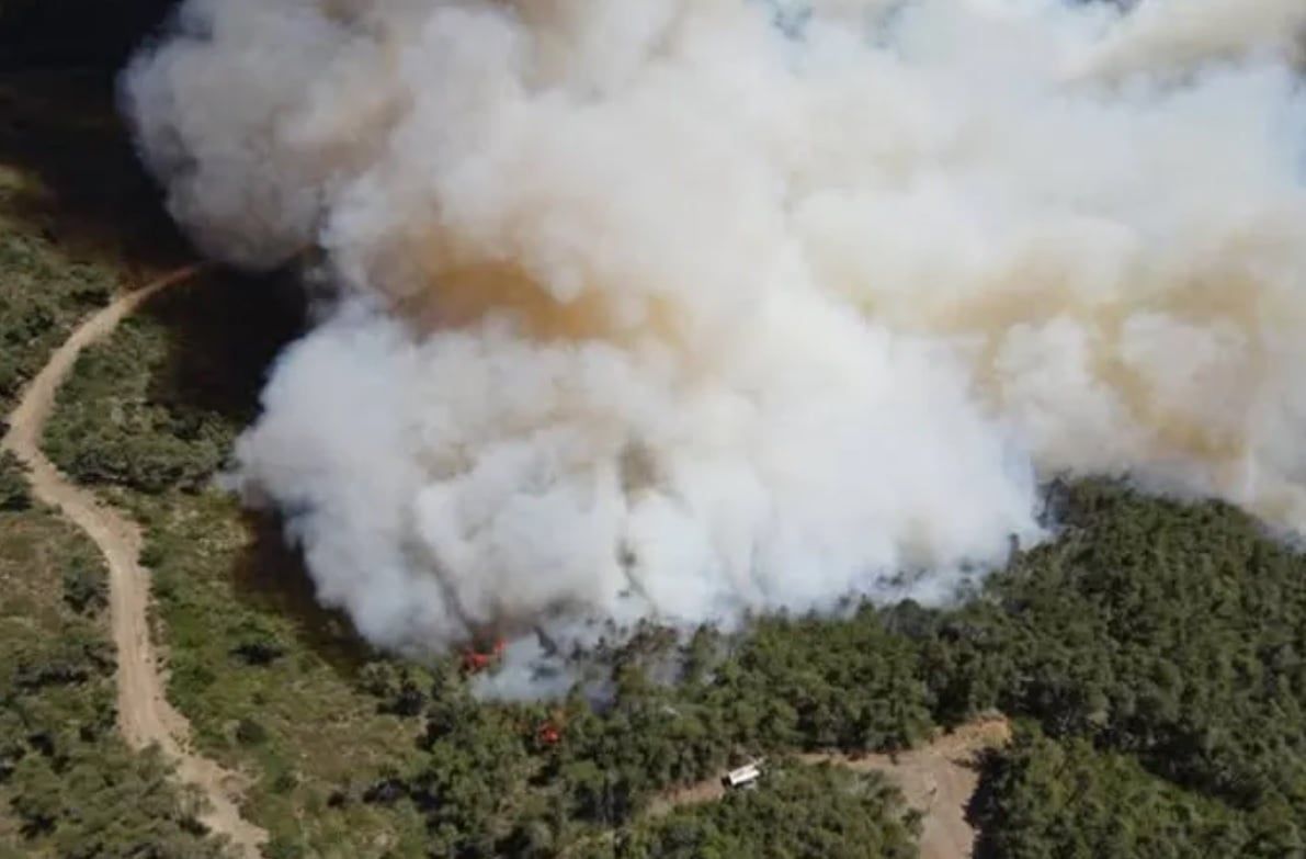 اندلاع حرائق واسعة فى غابات الساحل السورى.. صور