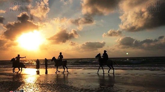 شاطئ العريش ينطق بالجمال ويُلهم العيون ويُحيي الذاكرة.. صور