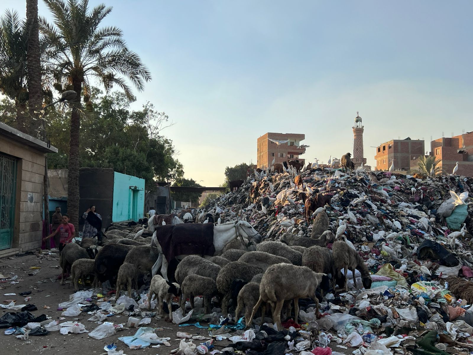 تلال القمامة تحاصر مقابر مدينة الحوامدية.. والأهالى يناشدون المسؤولين بالتدخل.. صور