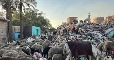 تلال القمامة تحاصر مقابر مدينة الحوامدية.. والأهالى يناشدون المسؤولين بالتدخل.. صور