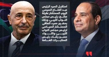 الرئيس السيسى يستقبل عقيلة صالح.. ويؤكد أهمية الحفاظ على سيادة ليبيا ووحدة أراضيها (إنفوجراف)