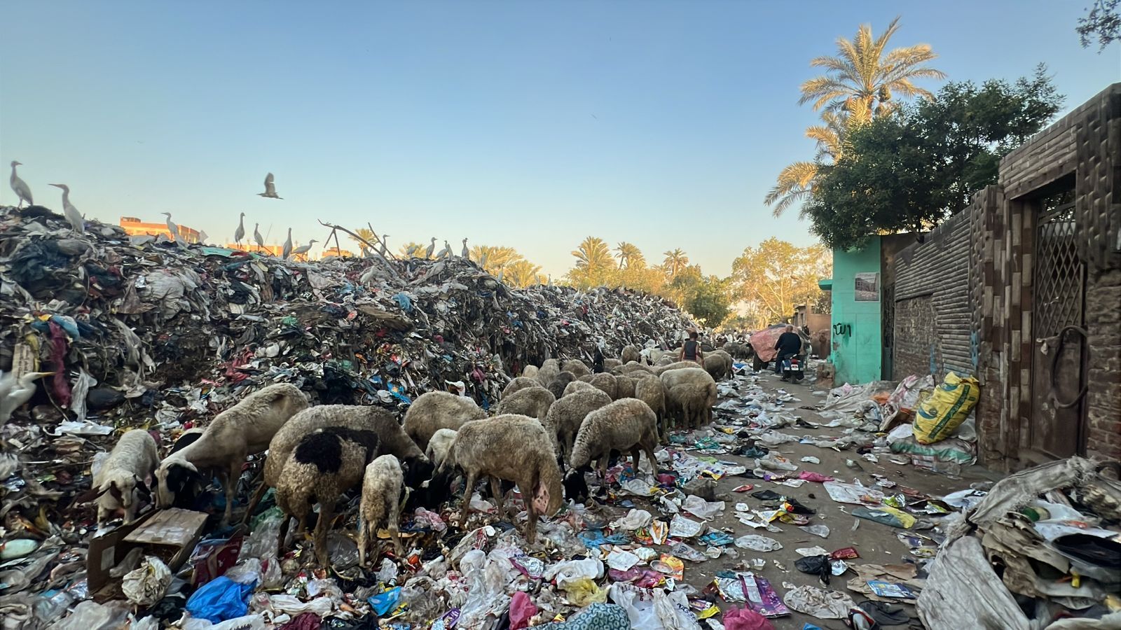 تلال القمامة تحاصر مقابر مدينة الحوامدية.. والأهالى يناشدون المسؤولين بالتدخل.. صور