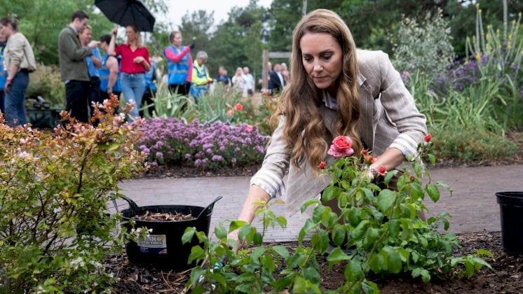 كاثرين تتحدث عن "المرحلة الأصعب" بعد الكيميائي وتغرس ورودًا تحمل اسمها