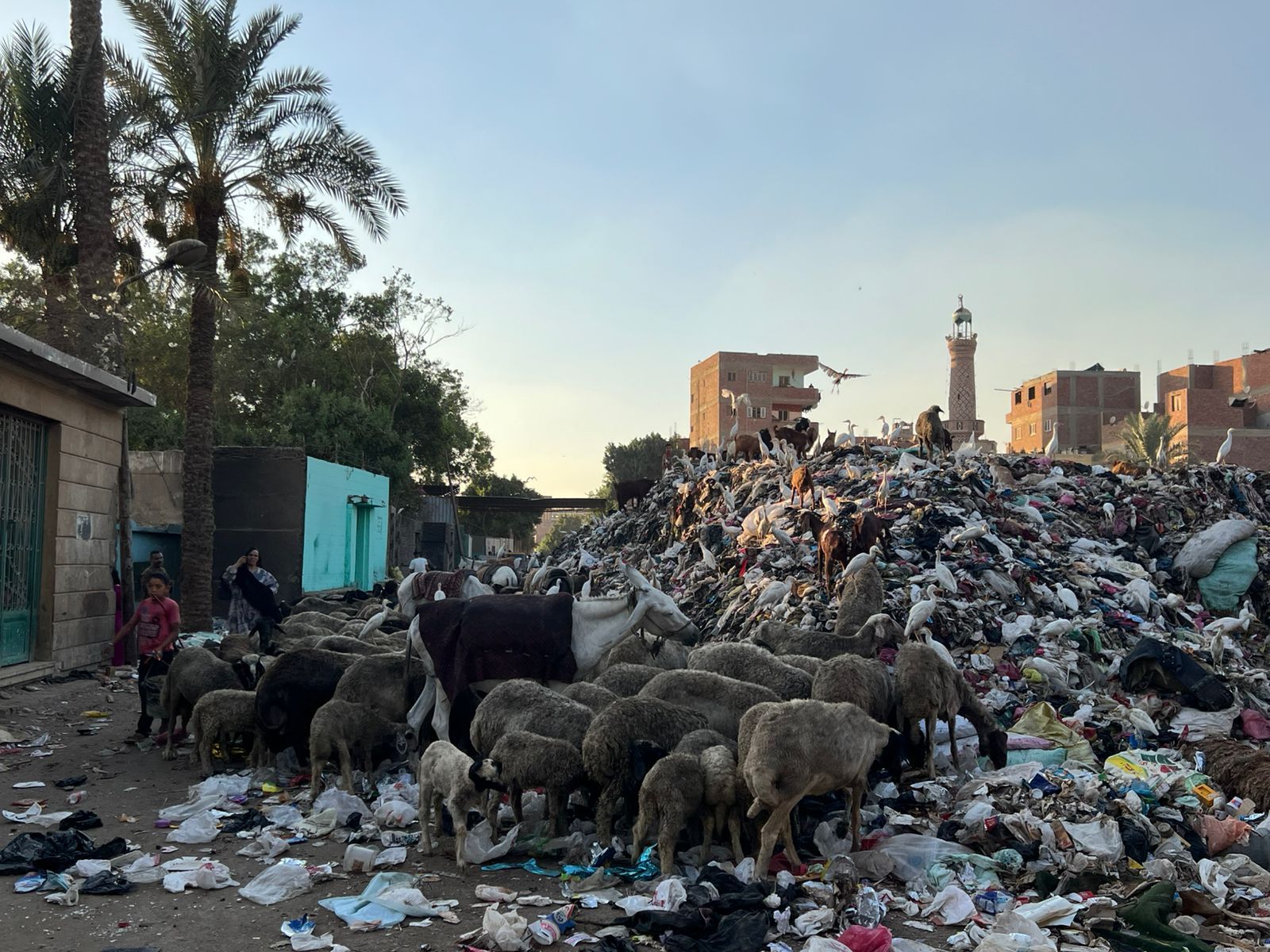 تلال القمامة تحاصر مقابر مدينة الحوامدية.. والأهالى يناشدون المسؤولين بالتدخل.. صور