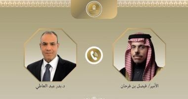 وزيرا خارجية مصر والسعودية يبحثان تطورات الأوضاع الكارثية فى غزة