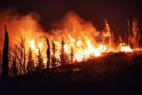 حرائق غابات في دول أوروبية تزامنا مع موجة حر ضربت عدة بلدان بالقارة