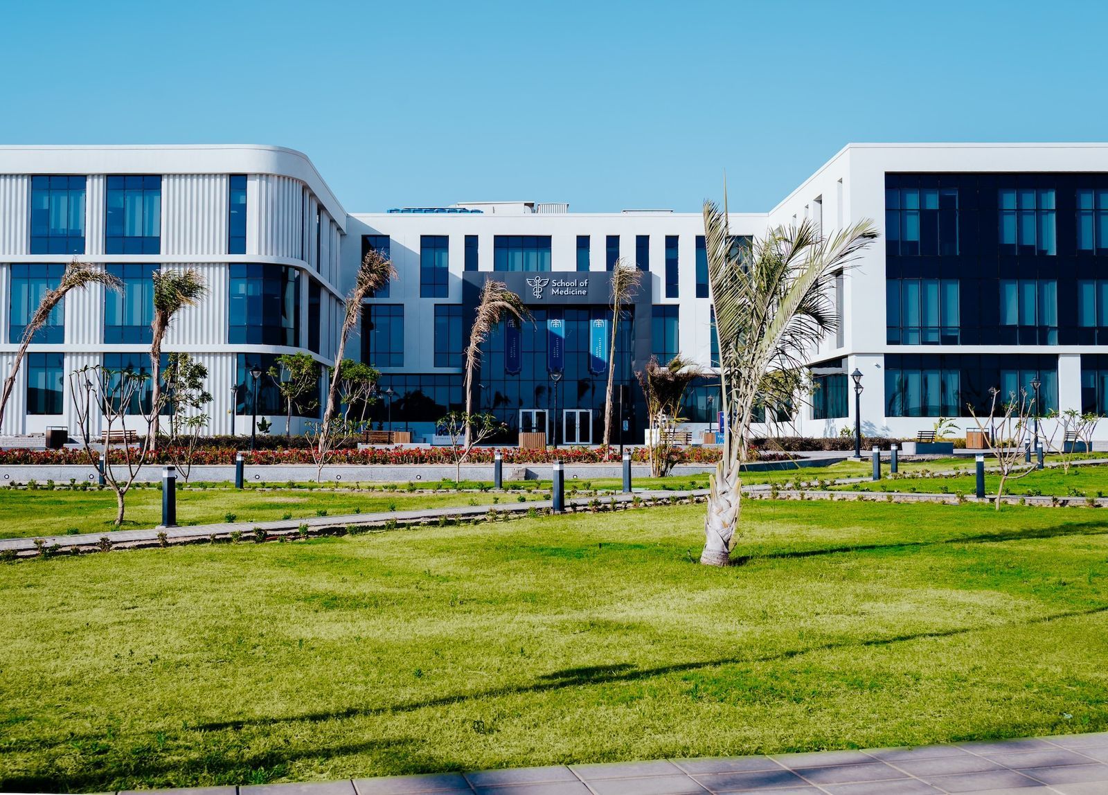 جامعة باديا تعلن بدء الدراسة بكلية الفنون الجميلة العام الدراسى الجديد