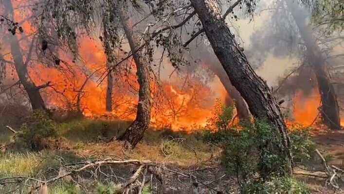 وزارة الطوارئ السورية: السيطرة على معظم حرائق اللاذقية ولا خسائر بشرية حتى الآن