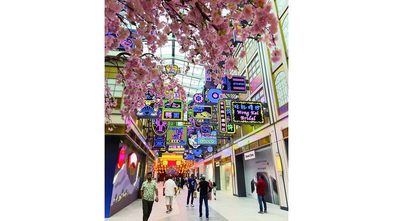 الامارات | «أزهار الكرز» في دبي