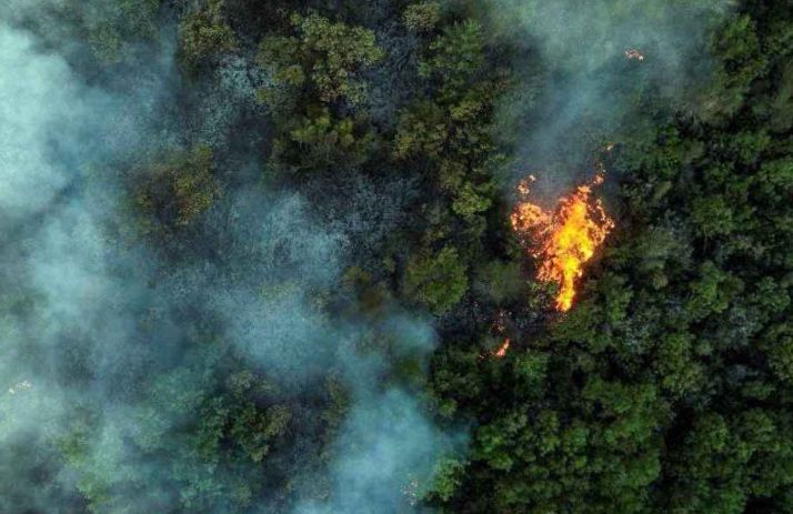 الحرائق تطارد رجال الإطفاء فى اللاذقية والأردن يساعد.. صور