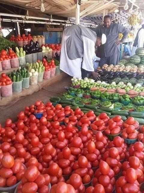 أسعار الخضروات بسوق مدينة الخرطوم بحري بعد العودة .. فيديو