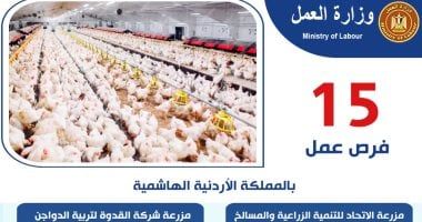 وزارة العمل: 15 فرصة عمل جديدة في الأردن في مجالات تربية الدواجن