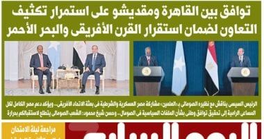 الخليج 365: توافق بين القاهرة ومقديشو على استمرار تكثيف التعاون