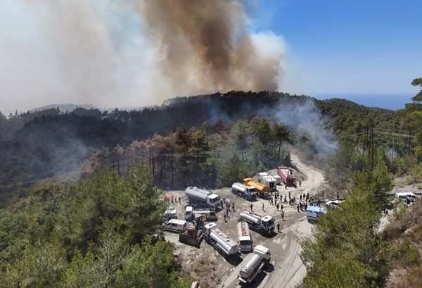 تواصل جهود احتواء حرائق الغابات في سوريا مع نزوح المئات