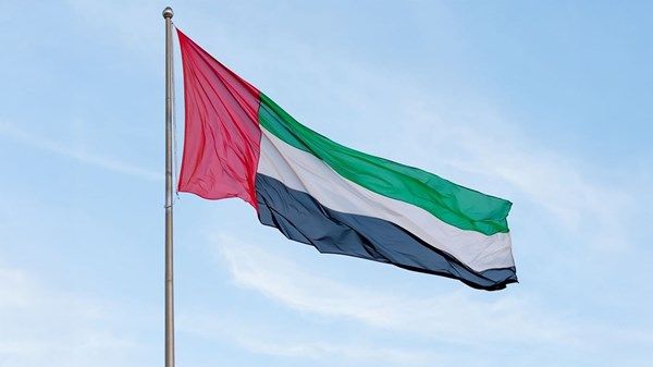 الإمارات تنقذ طاقم سفينة تجارية تعرضت للاستهداف في البحر الأحمر