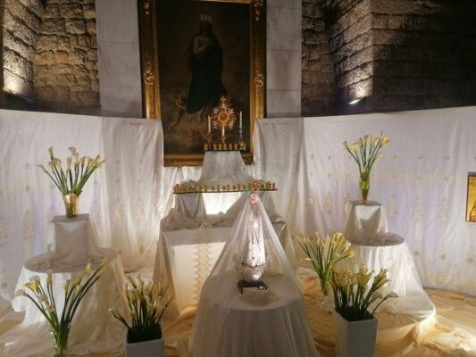 رحلة أيقونة سيدة النجاة: من النمسا إلى زحلة!