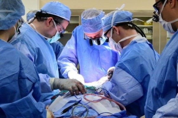 ممثل مصري خضع لعملية جراحية وهذه حالته الصحية الآن