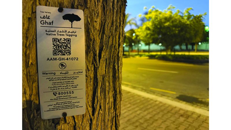 الامارات | ترقيم الأشجار
