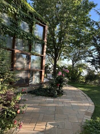 هذا ما قالته ورد الخال عن لبنان