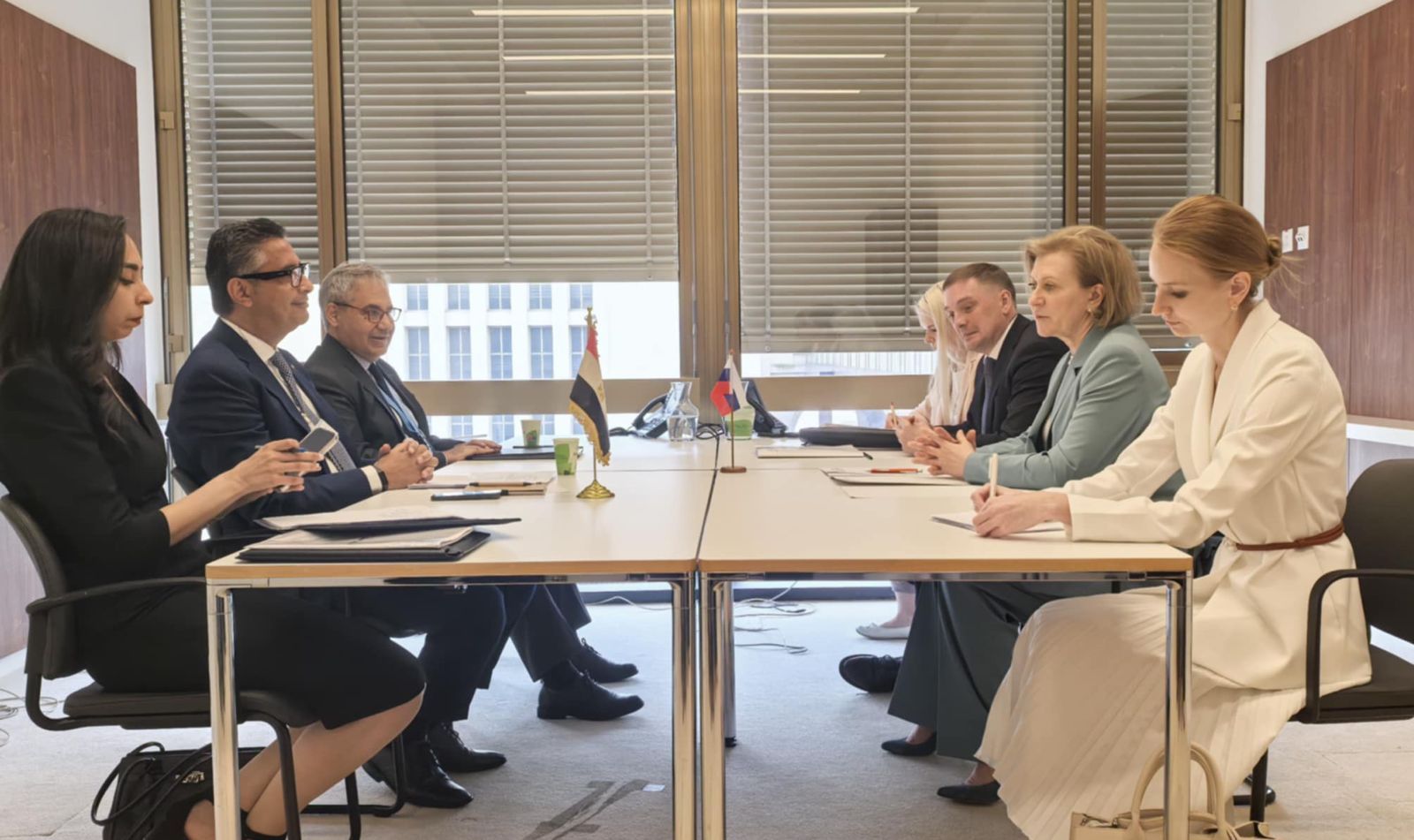 وزير التموين يلتقي رئيسة هيئة الرقابة على حماية حقوق المستهلك الروسية بجينيف