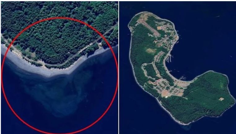 الامارات | هل زارنا الفضائيون ؟ .. خرائط غوغل تكشف عن جمجمة غامضة في مياه كندا